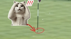Pha đánh golf đỉnh cao khiến ai cũng phải trầm trồ