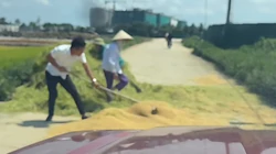 Xúc động cảnh tài xế ô tô giúp hai cụ dọn lúa giữa trưa nắng