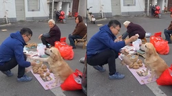 Chú chó ngồi bán hàng và biết thu tiền từ khách