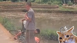 Ông chú ngã cắm đầu vì quá nhiệt tình nhường đường