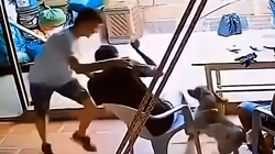 Chàng trai khốn khổ với 'chó nhà em ngoan lắm, không cắn đâu'