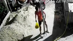 Chàng trai cụng đầu vào cột sắt, rung cả trần nhà