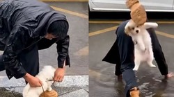 Thà ướt tay chứ nhất quyết không để ướt chó