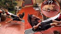Thanh niên gặp quả báo ngay sau khi trêu chó