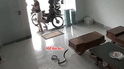 Cô gái hét toáng vì phát hiện có 'bé Na' ghé thăm nhà