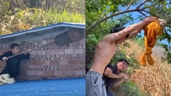 Những màn bắt ong đi vào lòng đất