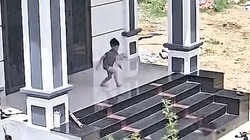 Bé trai tiếp đất bằng mông vì nghĩ mình là Người Nhện