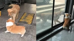 Mọi chuyện đều được giải quyết sau tấm kính