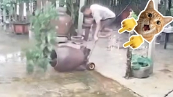 Sai một li đi toang... chậu kiểng đẹp