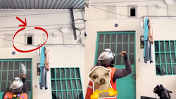 Shipper nước mình quá khổ
