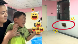 Thanh niên dắt con đi tiêm ngừa nhưng bị dân tình trêu 'yếu nghề'