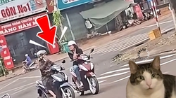 Hai phụ nữ ngang nhiên dừng xe nói chuyện giữa đường khiến ai thấy cũng lắc đầu