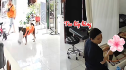 Chú chó thông minh biết giúp chủ lấy hàng