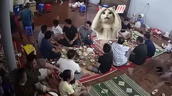 Đang ăn cơm, cả gia đình bất ngờ phải vội vàng dời lên thềm nhà khi nước lụt tràn vào