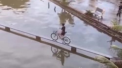 Cô gái khiến nhiều người trầm trồ với skill chạy xe đạp thăng bằng