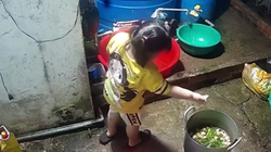 Mẹ cạn lời với nồi canh khổ qua 'vị' xà phòng của con gái