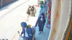 Anh gì ơi, anh đánh rơi... vợ này