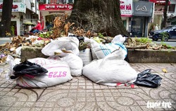 Ho Chi Minh City Pasteur Institute to add waste collection, surveillance cameras to protect surrounding pavements