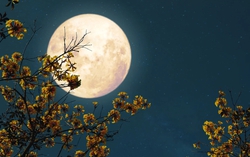 Vietnam to witness 2025’s most spectacular Beaver Moon on November 6