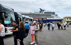 Ho Chi Minh City sees rise in luxury cruise arrivals