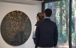 Vietnam’s pine-forest contemporary art museum marks decade of growth