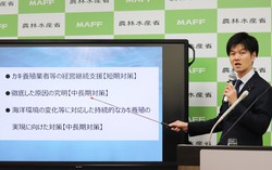 Japan unveils measures to tackle mass oyster deaths