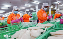 Vietnam’s agro-forestry-fishery exports in 11 months surpass 2024 record