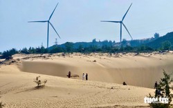 Tourists flock to Vietnam’s Binh Dinh for scenic wind farm