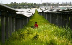 Vietnam ups wind, solar targets as energy demand soars