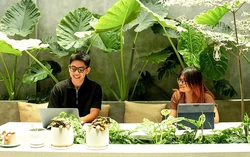 Vietnam’s co-working spaces draw digital nomads