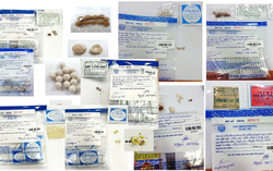 Counterfeit crisis: From medicine to food products, fake goods threaten public health in Vietnam