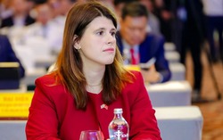Vietnam among SE Asia's most attractive FDI destinations: British consul general