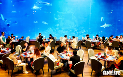 Chinese tourists flock to Vietnam’s Phu Quoc