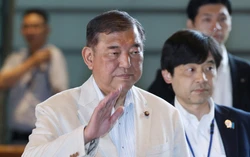 Japan govt launches new office for foreigner policies