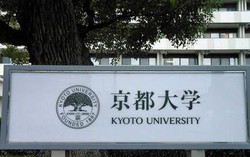 Kyoto Univ. team develops pain reliever comparable to morphine