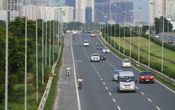 Hanoi to cut down 2,233 trees for intersection project