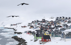 Trump vows tariffs on eight European nations over Greenland