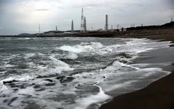 TEPCO to shut reactor at world's biggest nuclear plant a day after resumption