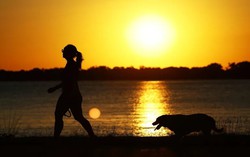 Till death do us bark: Brazilian state lets pets be buried with owners