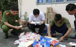 Ho Chi Minh City police bust major fake fish sauce, MSG, detergent production ring