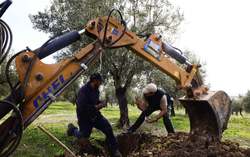 Europe's $955 billion recovery fund struggles to transform economy
