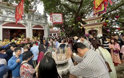 Japanese ambassador embraces Vietnamese Tet through travel, cuisine, culture