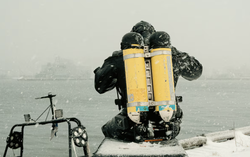 No sign of sabotage in Finland-Sweden power outage, operator says