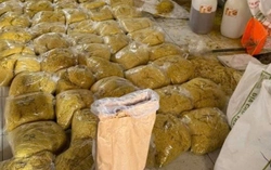 Couple arrested for allegedly producing 2,800 tonnes of contaminated fresh noodles in Ho Chi Minh City