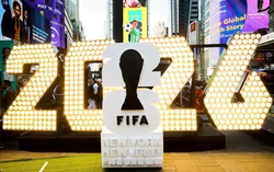 Watchdog warns high FIFA World Cup ticket prices increase risk of scams