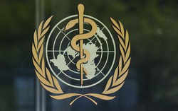 WHO delays pandemic treaty amid pathogen-sharing dispute