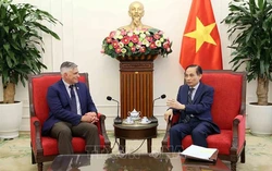 Vietnam rejects industrial overcapacity, forced labor allegations: minister