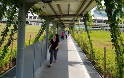 How Singapore’s covered walkways could help shape Ho Chi Minh City’s public transportation future