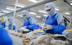 Vietnam shrimp exports hit $2.35bn in January-June