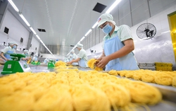 Beyond preferential credit: What Vietnam’s SMEs need to thrive